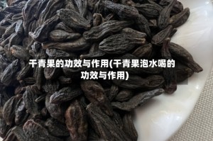 干青果的功效与作用(干青果泡水喝的功效与作用)