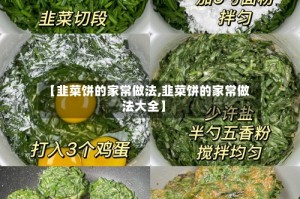 【韭菜饼的家常做法,韭菜饼的家常做法大全】