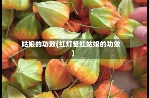 姑娘的功效(红灯笼红姑娘的功效)