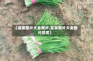 【韭菜图片大全图片,韭菜图片大全图片欣赏】