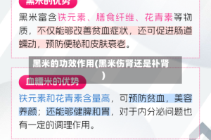 黑米的功效作用(黑米伤肾还是补肾)