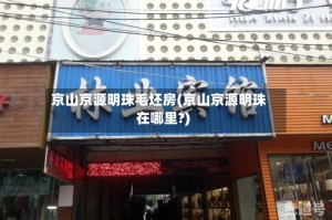 京山京源明珠毛坯房(京山京源明珠在哪里?)