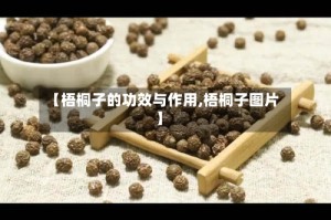 【梧桐子的功效与作用,梧桐子图片】