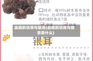 血菇的功效与禁忌(血菇的功效与禁忌是什么)