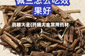 药膳大全(药膳大全常用药材)