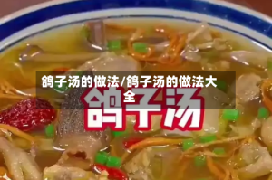 鸽子汤的做法/鸽子汤的做法大全