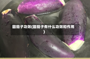 圆茄子功效(圆茄子有什么功效和作用)
