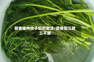 茴香猪肉饺子馅的做法/茴香馅三放三不放