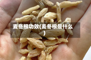 麦冬根功效(麦冬根是什么)