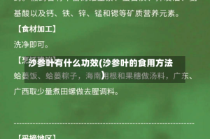 沙参叶有什么功效(沙参叶的食用方法)