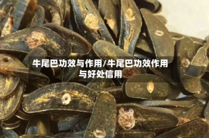 牛尾巴功效与作用/牛尾巴功效作用与好处信用