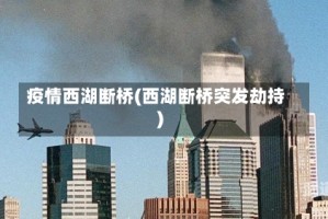 疫情西湖断桥(西湖断桥突发劫持)