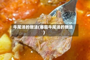 牛尾汤的做法(蕃茄牛尾汤的做法)