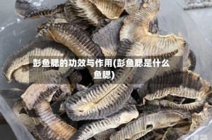 彭鱼腮的功效与作用(彭鱼腮是什么鱼腮)