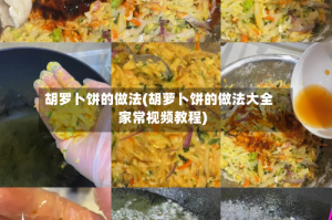 胡罗卜饼的做法(胡萝卜饼的做法大全家常视频教程)