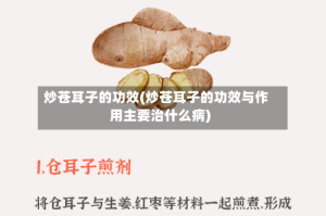 炒苍耳子的功效(炒苍耳子的功效与作用主要治什么病)