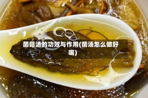 菌菇汤的功效与作用(菌汤怎么做好喝)