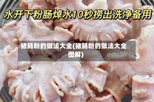 猪肠粉的做法大全(猪肠粉的做法大全图解)