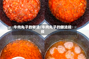 牛肉丸子的做法/牛肉丸子的做法视频