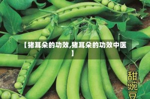 【猪耳朵的功效,猪耳朵的功效中医】