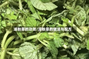 凉粉草的功效/凉粉草的做法与配方