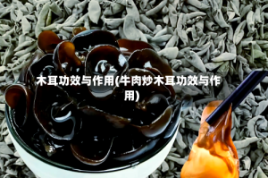 木耳功效与作用(牛肉炒木耳功效与作用)