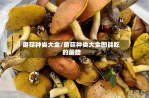 蘑菇种类大全/蘑菇种类大全图能吃的蘑菇