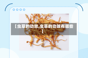 【虫草的功效,虫草的功效有哪些】