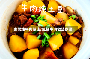 家常炖牛肉做法/红烧牛肉做法步骤