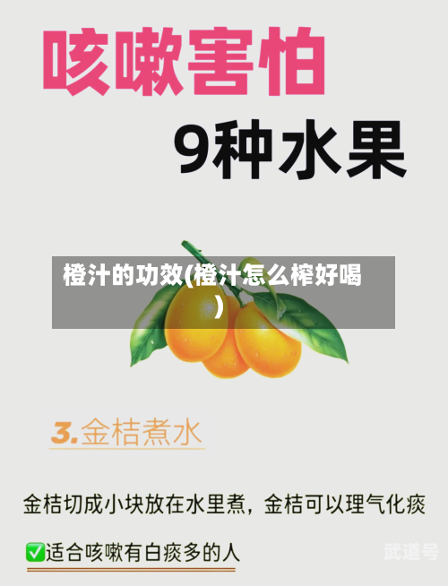 橙汁的功效(橙汁怎么榨好喝)-第3张图片