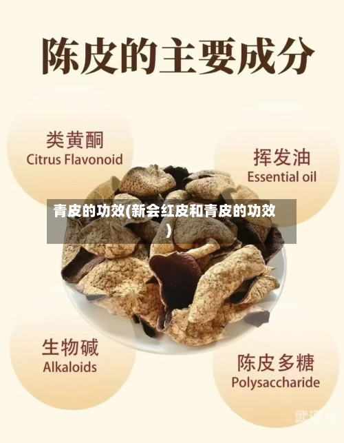 青皮的功效(新会红皮和青皮的功效)-第2张图片