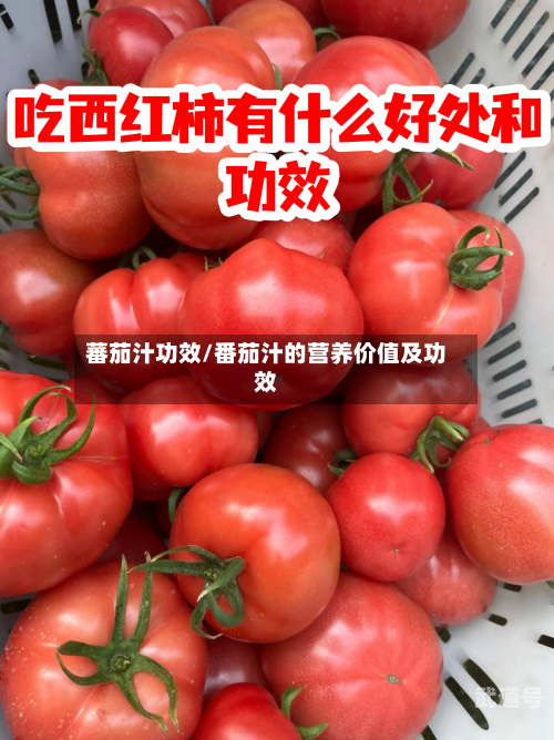 蕃茄汁功效/番茄汁的营养价值及功效-第3张图片