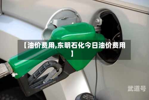 【油价费用,东明石化今日油价费用】-第2张图片