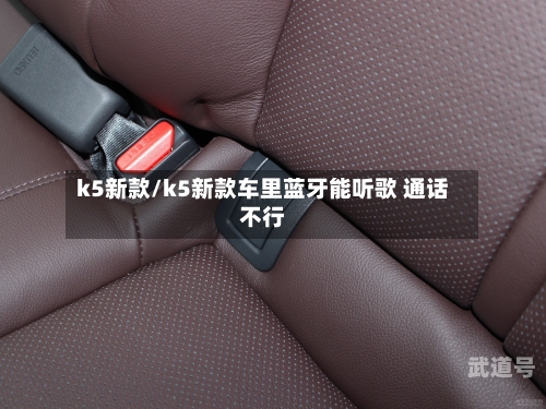 k5新款/k5新款车里蓝牙能听歌 通话不行-第3张图片