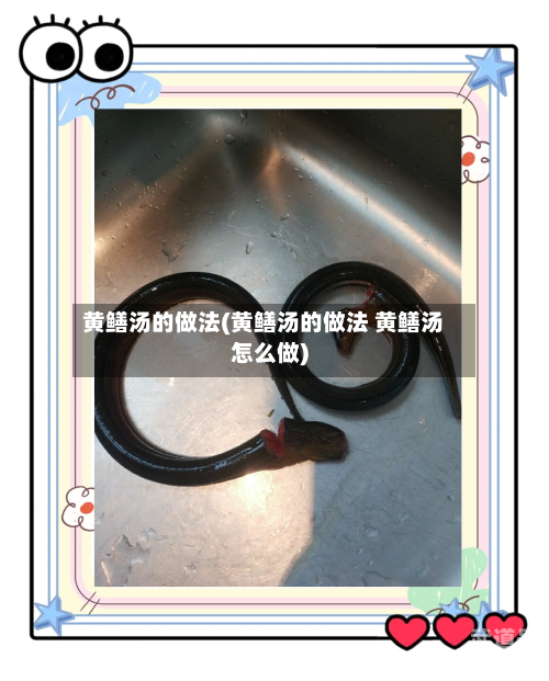 黄鳝汤的做法(黄鳝汤的做法 黄鳝汤怎么做)-第2张图片