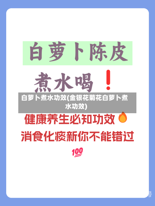 白萝卜煮水功效(金银花菊花白萝卜煮水功效)-第2张图片