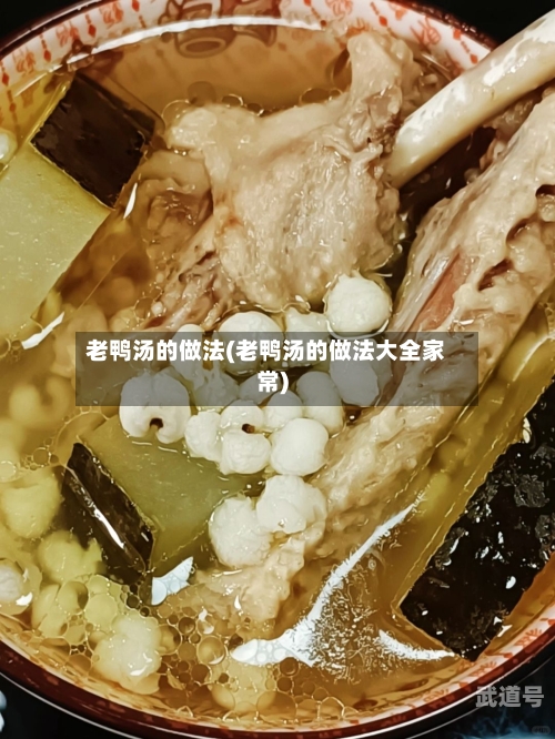 老鸭汤的做法(老鸭汤的做法大全家常)-第2张图片