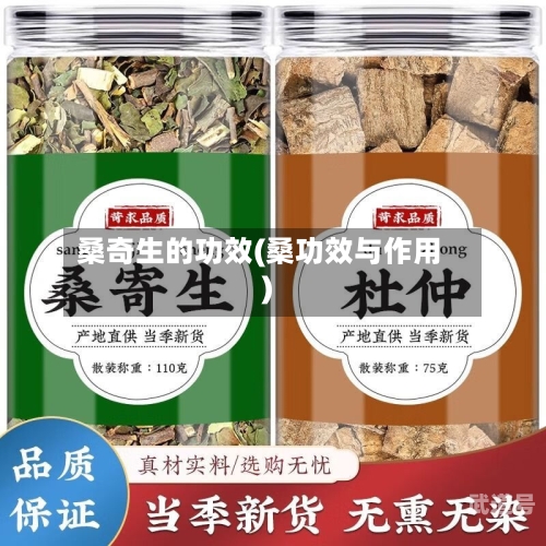 桑奇生的功效(桑功效与作用)-第3张图片