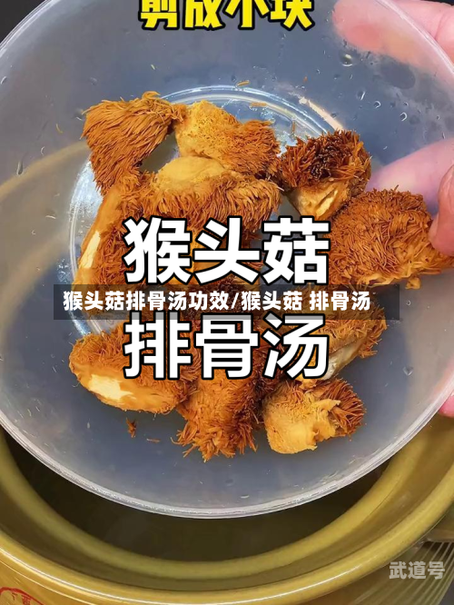 猴头菇排骨汤功效/猴头菇 排骨汤-第1张图片