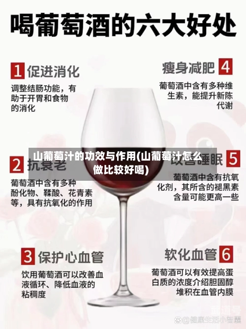 山葡萄汁的功效与作用(山葡萄汁怎么做比较好喝)-第3张图片