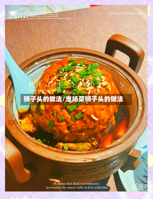 狮子头的做法/淮扬菜狮子头的做法-第2张图片