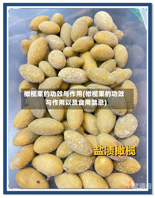 橄榄果的功效与作用(橄榄果的功效与作用以及食用禁忌)-第2张图片