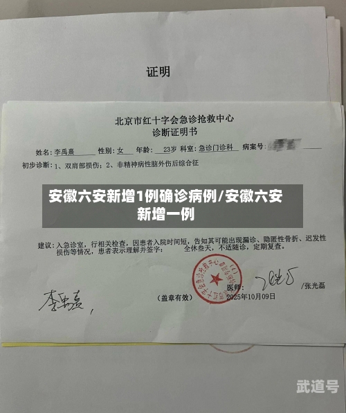 安徽六安新增1例确诊病例/安徽六安新增一例-第3张图片
