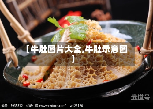 【牛肚图片大全,牛肚示意图】-第2张图片