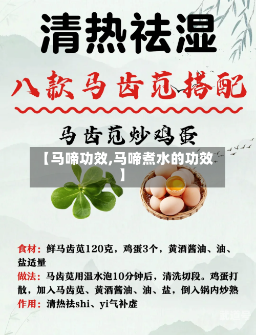 【马啼功效,马啼煮水的功效】-第3张图片