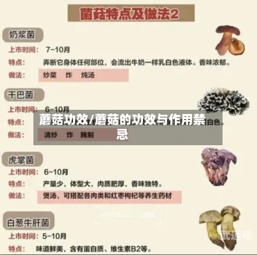 蘑菇功效/蘑菇的功效与作用禁忌-第3张图片