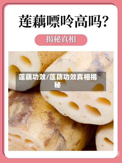 莲藕功效/莲藕功效真相揭秘-第1张图片