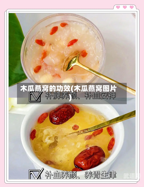 木瓜燕窝的功效(木瓜燕窝图片)-第3张图片