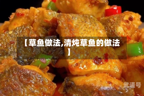 【草鱼做法,清炖草鱼的做法】-第1张图片