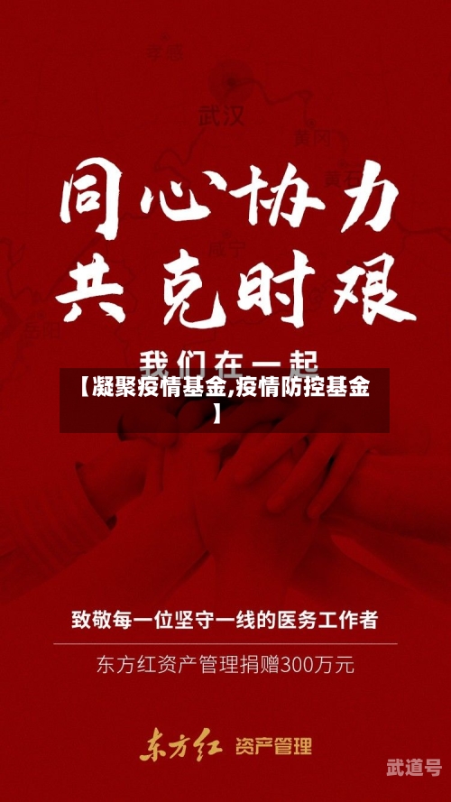 【凝聚疫情基金,疫情防控基金】-第3张图片
